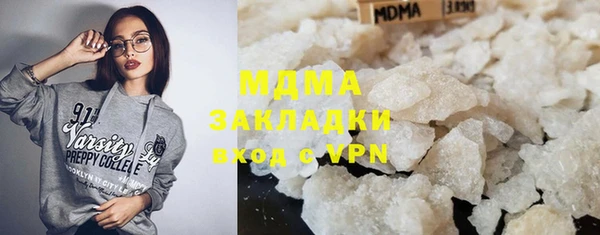 индика Алексин