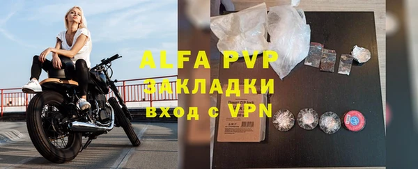 индика Алексин