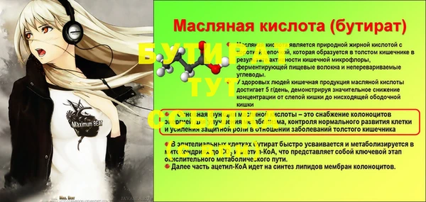 спайс Няндома