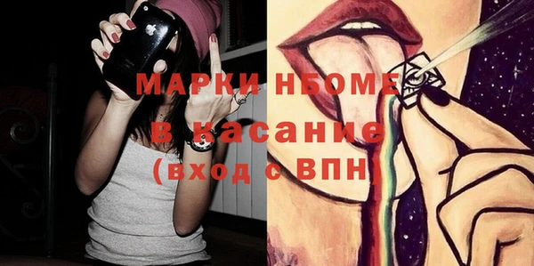 индика Алексин