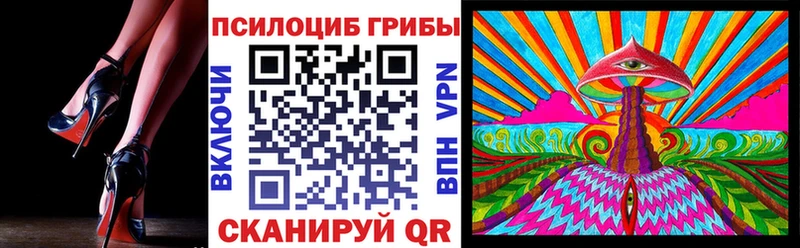 закладка  Белебей  Псилоцибиновые грибы Cubensis 