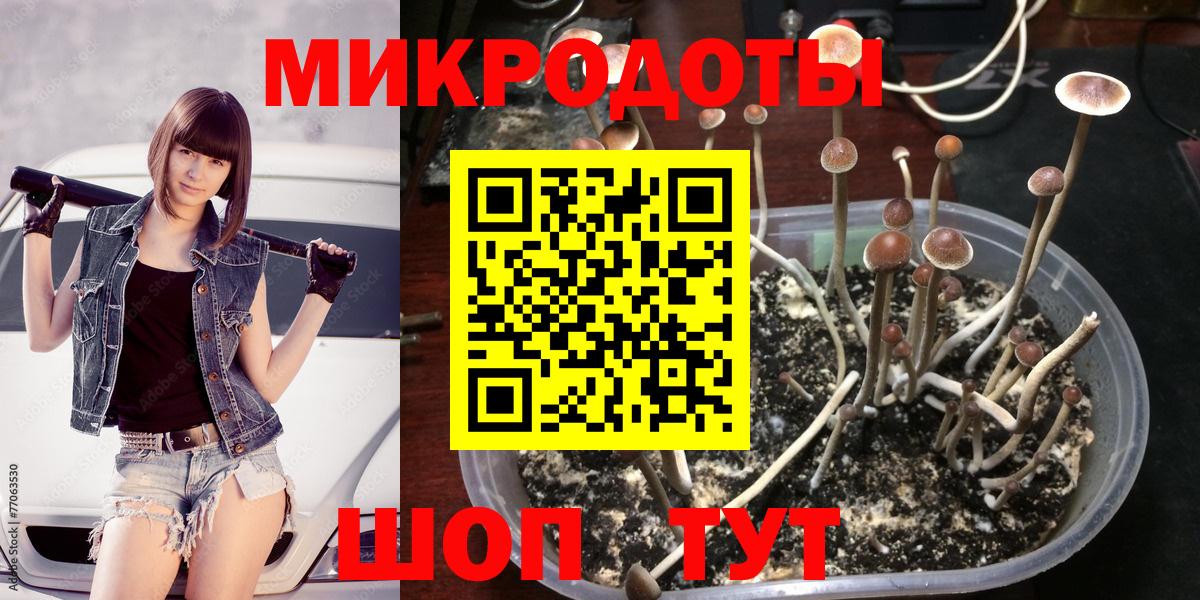 Псилоцибиновые грибы мицелий Белебей
