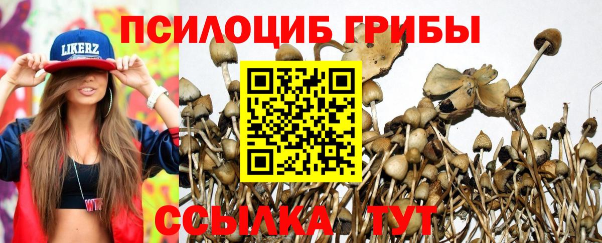 где можно купить   Галлюциногенные грибы Magic Shrooms  Псилоцибиновые грибы прущие грибы  Вход с VPN  Белебей 